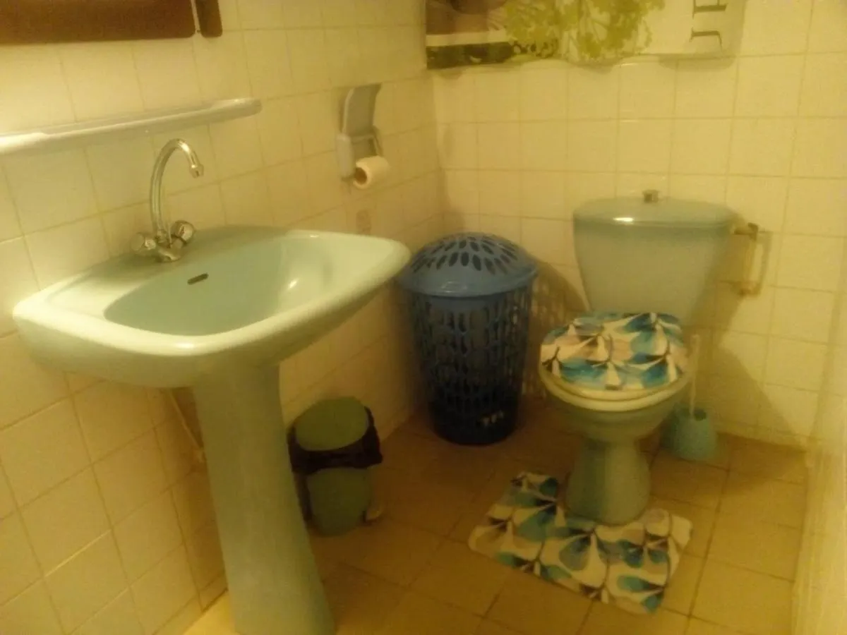 Les Hibiscus Apartment L'Anse Noire