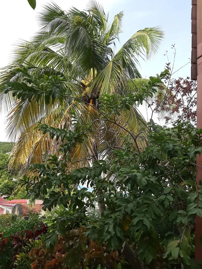 Les Hibiscus Apartment L'Anse Noire